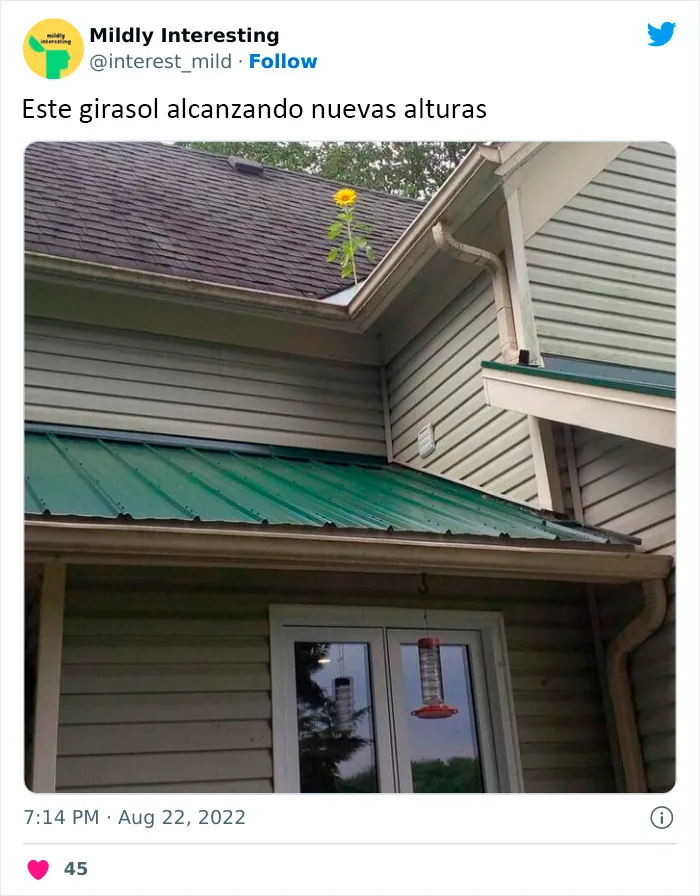 20 Nuevas imágenes bastante interesantes de esta cuenta de Twitter