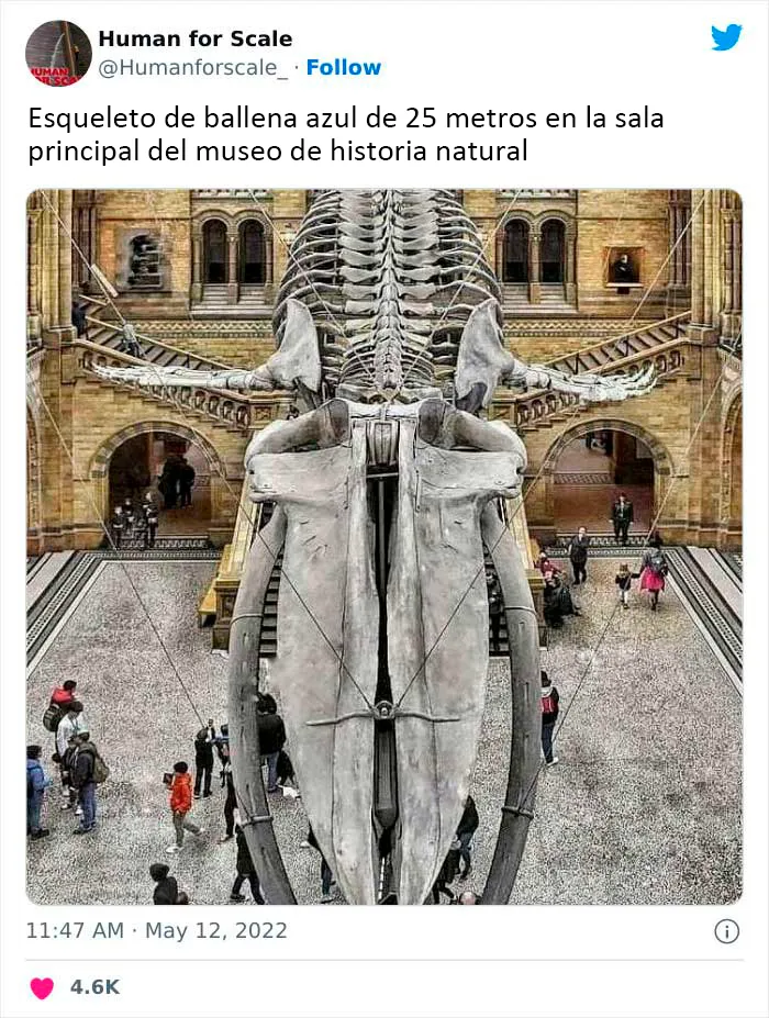 No sabes lo enormes que son algunas cosas hasta que se comparan con el tamaño humano: 20 fotos