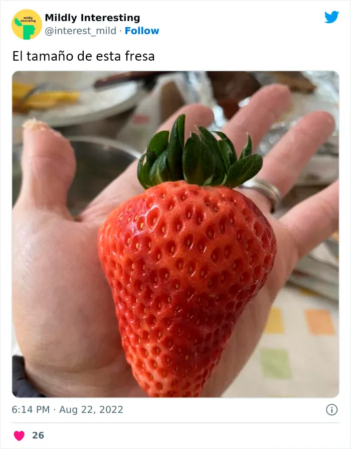 20 Nuevas imágenes bastante interesantes de esta cuenta de Twitter