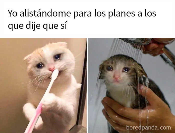 "Memes Introvertidos": 20 de los chistes más divertidos que resumen la vida de un introvertido