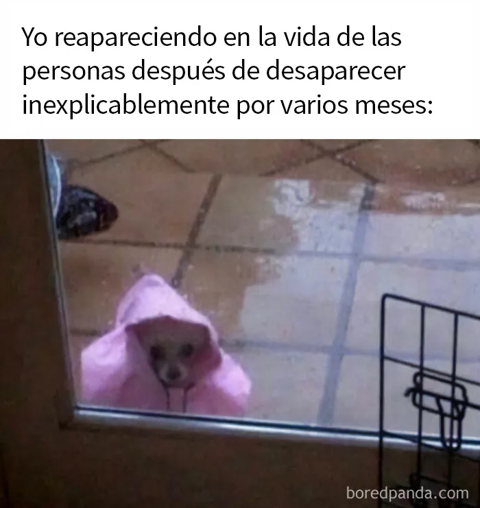 "Memes Introvertidos": 20 de los chistes más divertidos que resumen la vida de un introvertido