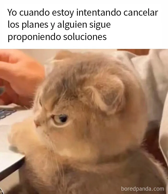 "Memes Introvertidos": 20 de los chistes más divertidos que resumen la vida de un introvertido