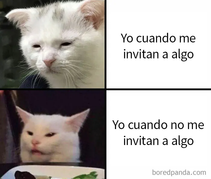 "Memes Introvertidos": 20 de los chistes más divertidos que resumen la vida de un introvertido