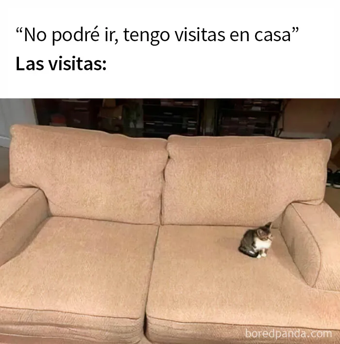 "Memes Introvertidos": 20 de los chistes más divertidos que resumen la vida de un introvertido