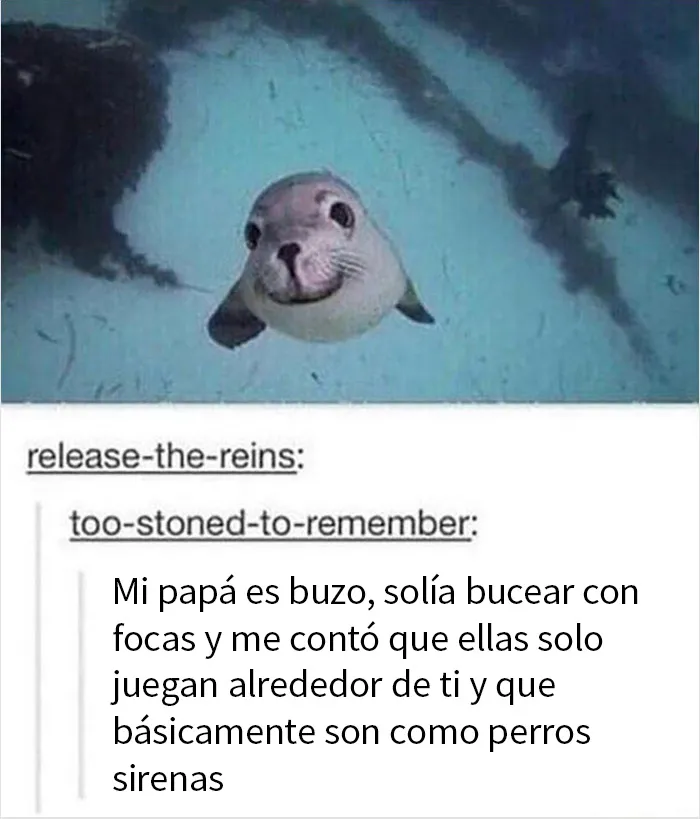 La gente se muere de risa con estos 20 memes y posts sobre cualquier cosa, compartidos por esta página de Facebook con más de 850 mil seguidores