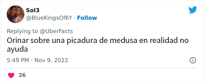 20 mitos populares de supervivencia que no solo son erróneos sino también peligrosos, compartidos por la gente en Twitter