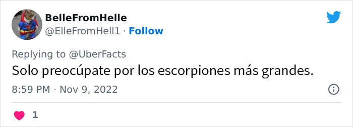 20 mitos populares de supervivencia que no solo son erróneos sino también peligrosos, compartidos por la gente en Twitter