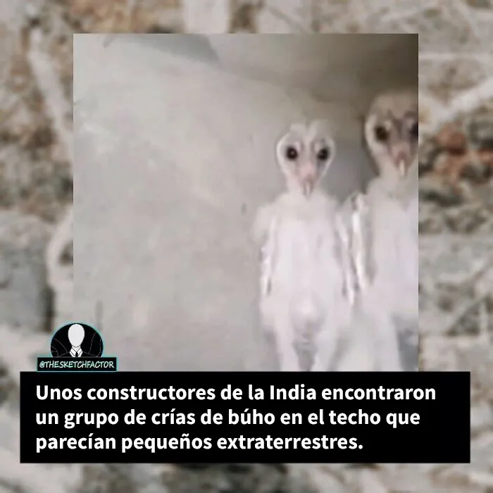 20 Datos morbosos que los dejarán boquiabiertos