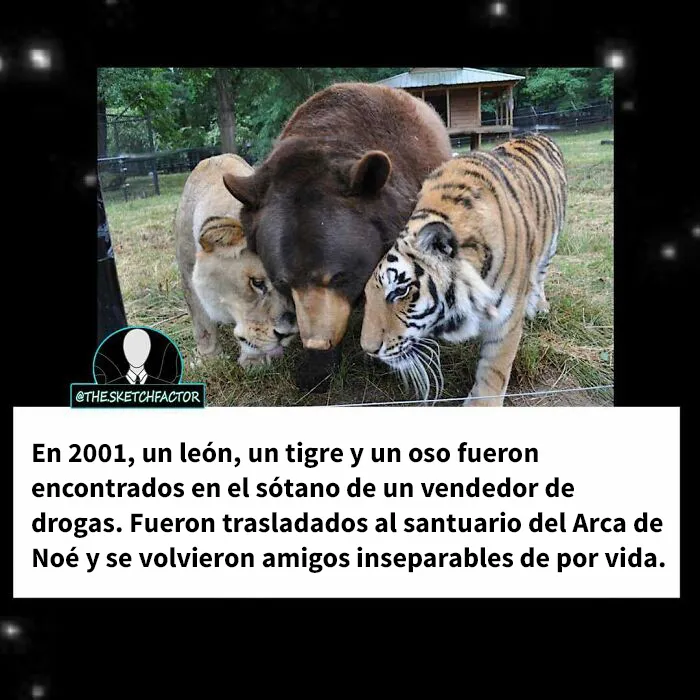 20 Datos morbosos que los dejarán boquiabiertos