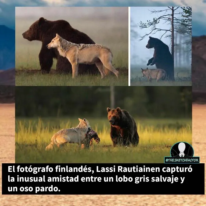 20 Datos morbosos que los dejarán boquiabiertos