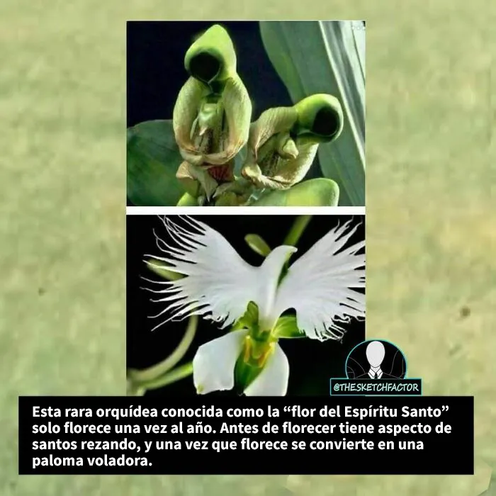 20 Datos morbosos que los dejarán boquiabiertos