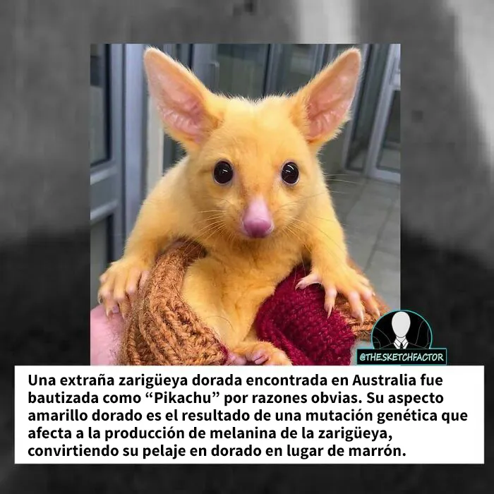20 Datos morbosos que los dejarán boquiabiertos