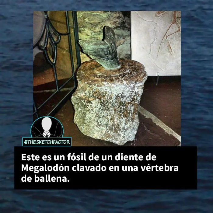 20 Datos morbosos que los dejarán boquiabiertos