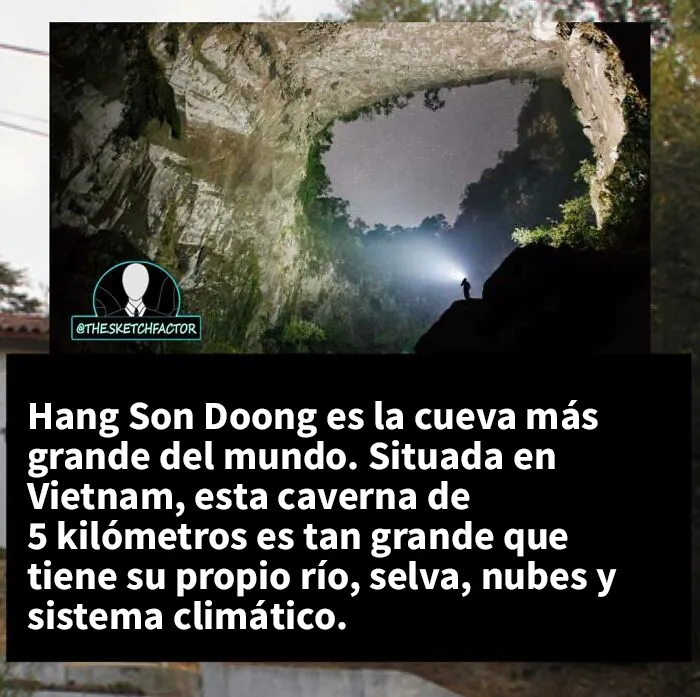 20 Datos morbosos que los dejarán boquiabiertos