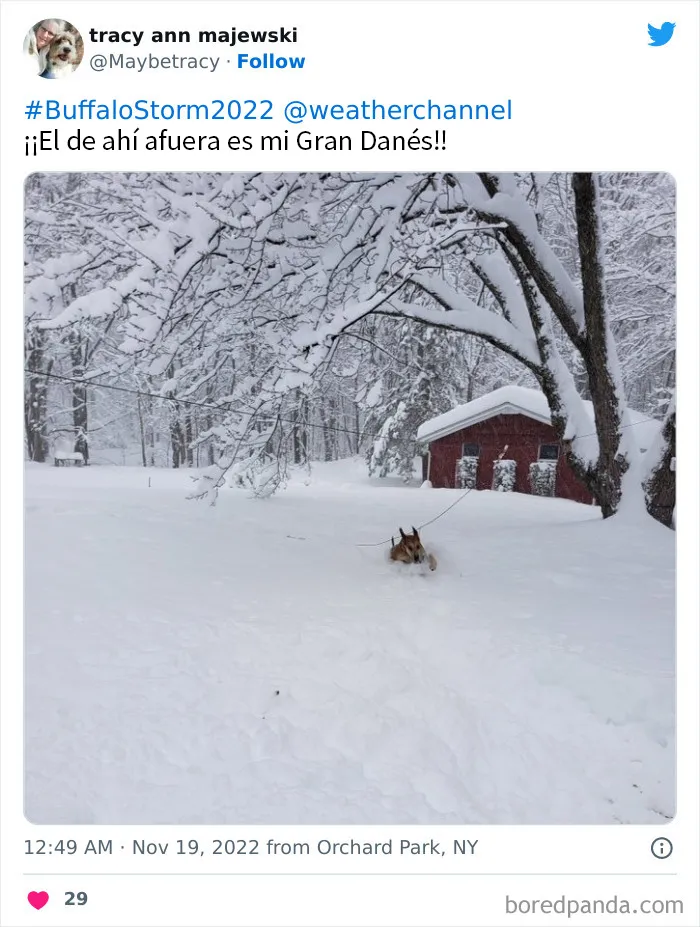 La gente comparte sus impresionantes fotos tras la brutal ventisca que ha dejado casi 2 metros de nieve en Buffalo, Nueva York