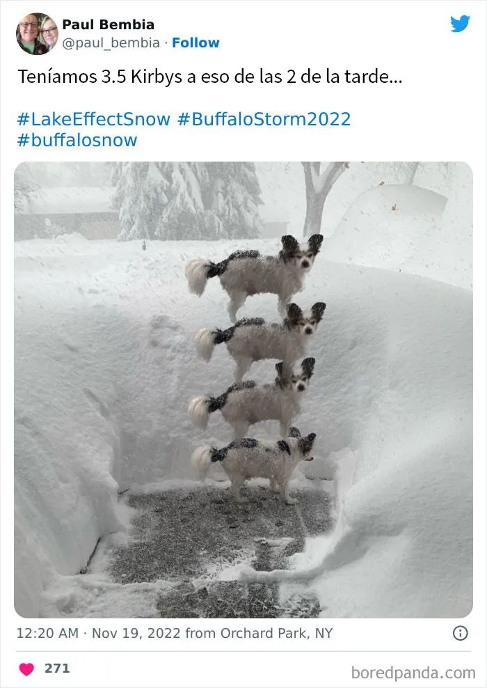 La gente comparte sus impresionantes fotos tras la brutal ventisca que ha dejado casi 2 metros de nieve en Buffalo, Nueva York