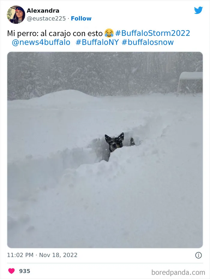 La gente comparte sus impresionantes fotos tras la brutal ventisca que ha dejado casi 2 metros de nieve en Buffalo, Nueva York