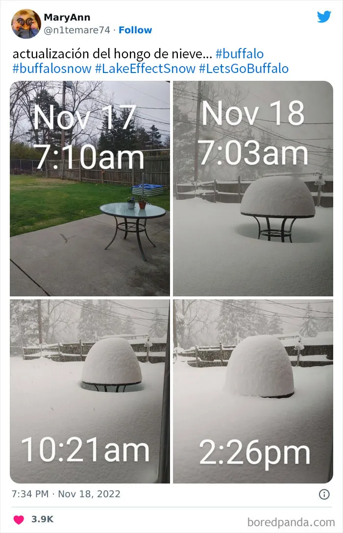 La gente comparte sus impresionantes fotos tras la brutal ventisca que ha dejado casi 2 metros de nieve en Buffalo, Nueva York
