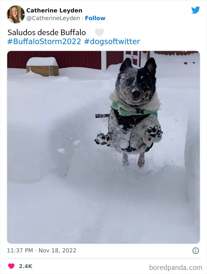 La gente comparte sus impresionantes fotos tras la brutal ventisca que ha dejado casi 2 metros de nieve en Buffalo, Nueva York