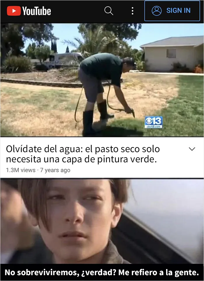 Este grupo en línea comparte memes de humor negro sobre ecología y estos son los 20 mejores