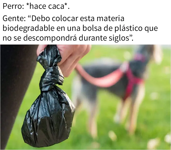 Este grupo en línea comparte memes de humor negro sobre ecología y estos son los 20 mejores
