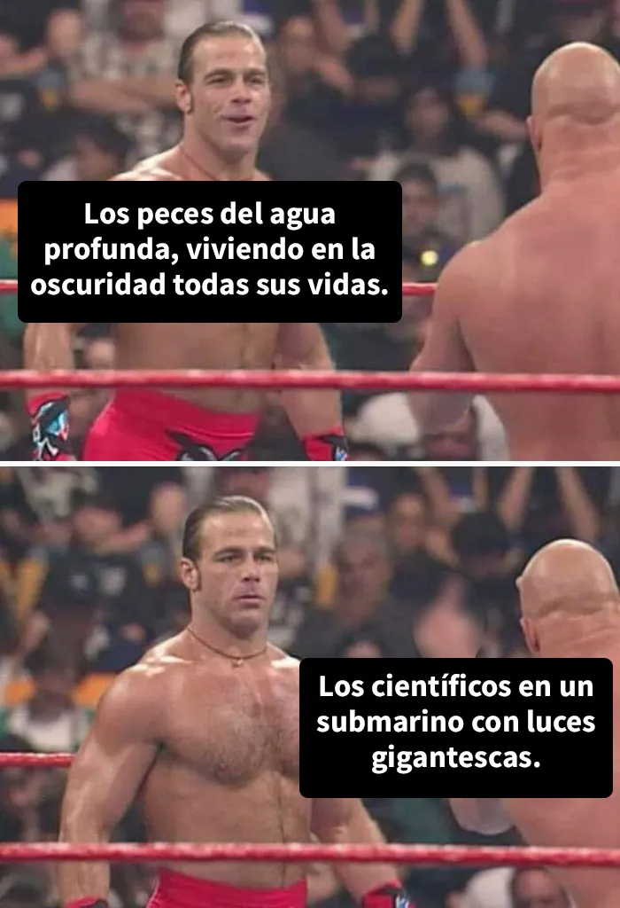 Este grupo en línea comparte memes de humor negro sobre ecología y estos son los 20 mejores