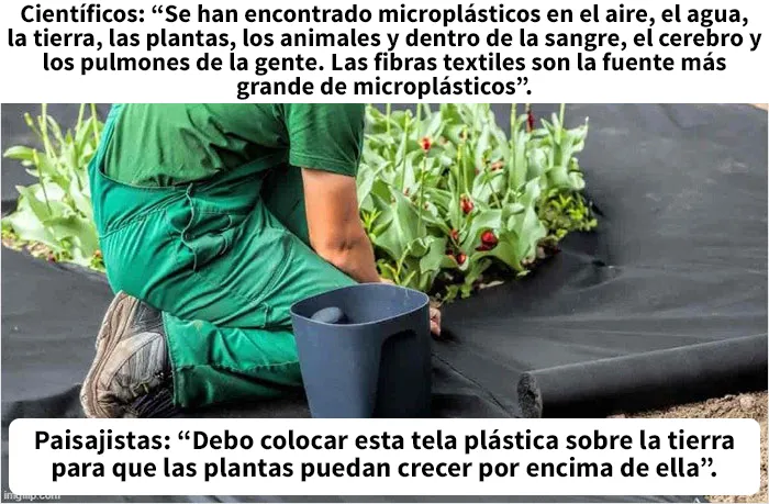 Este grupo en línea comparte memes de humor negro sobre ecología y estos son los 20 mejores