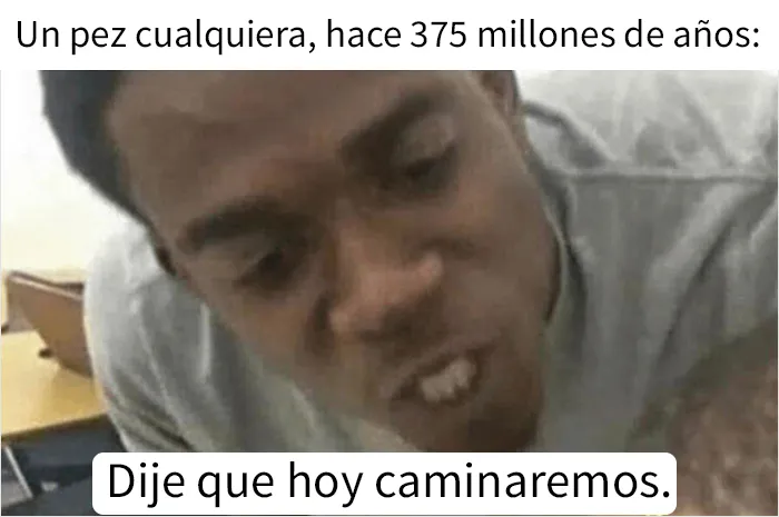 Este grupo en línea comparte memes de humor negro sobre ecología y estos son los 20 mejores