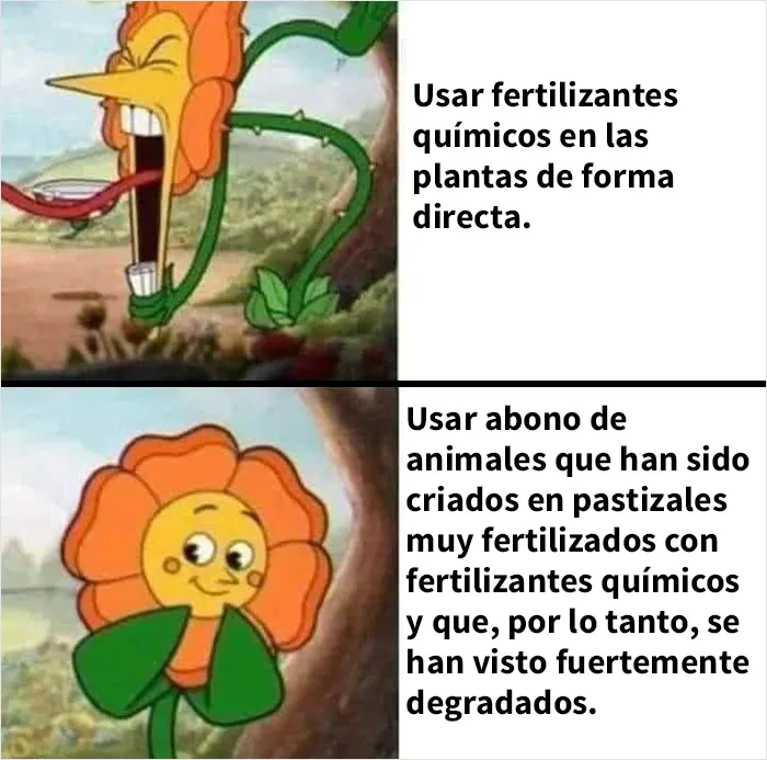 Este grupo en línea comparte memes de humor negro sobre ecología y estos son los 20 mejores
