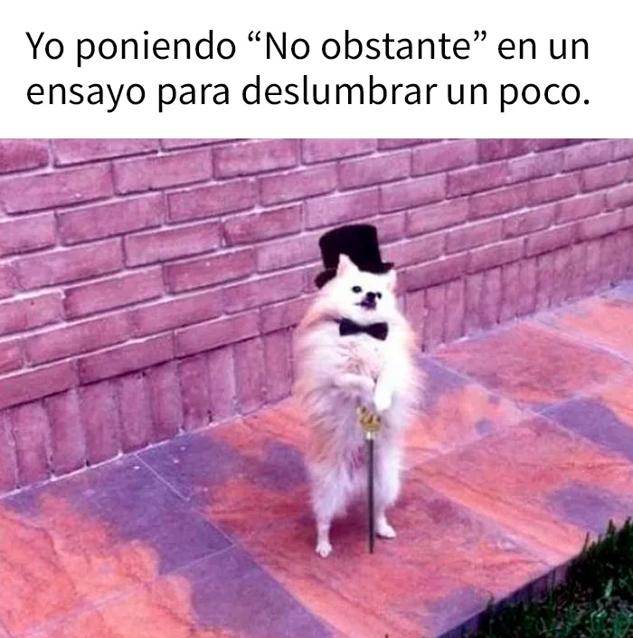 20 Divertidos memes y chistes sobre ciencia que te harán reír con su ingenio