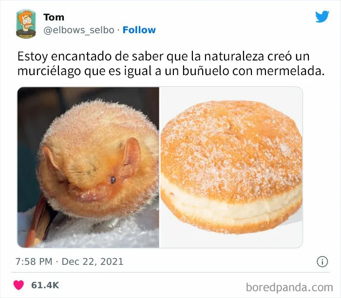 20 Divertidos memes y chistes sobre ciencia que te harán reír con su ingenio