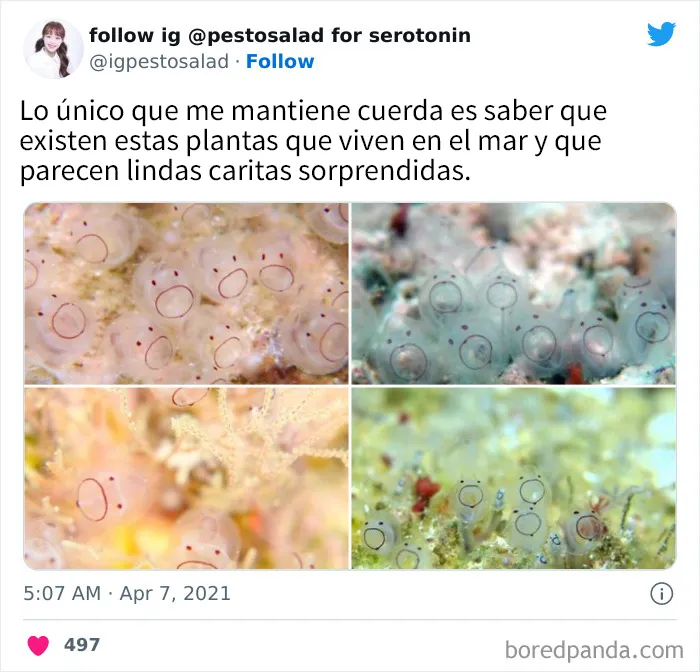 20 Divertidos memes y chistes sobre ciencia que te harán reír con su ingenio