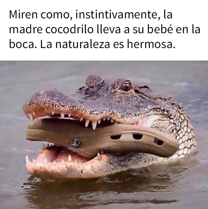 20 Divertidos memes y chistes sobre ciencia que te harán reír con su ingenio