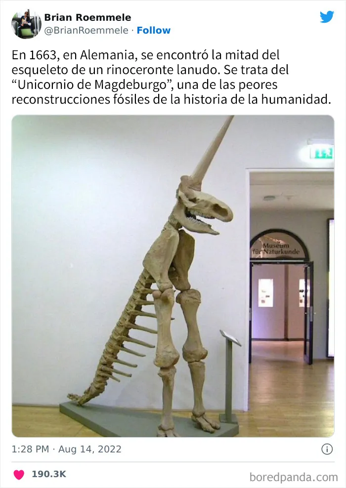 20 Divertidos memes y chistes sobre ciencia que te harán reír con su ingenio
