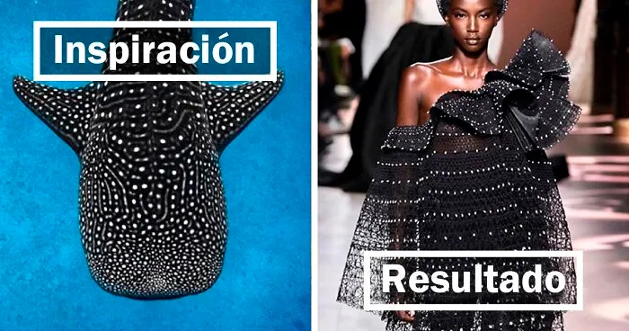 La moda suele inspirarse en la naturaleza y esta cuenta de Instagram lo demuestra (30 nuevas fotos)
