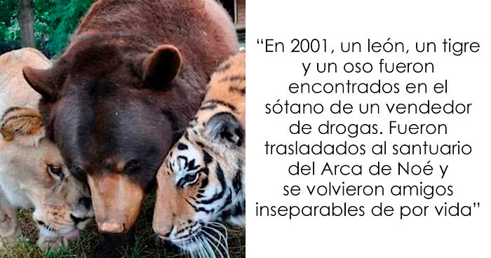 20 Datos morbosos que los dejarán boquiabiertos