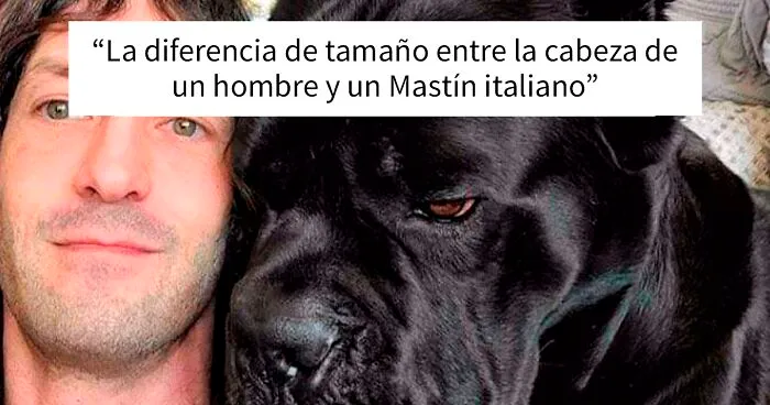 40 Unidades absolutas que resultan fascinantes