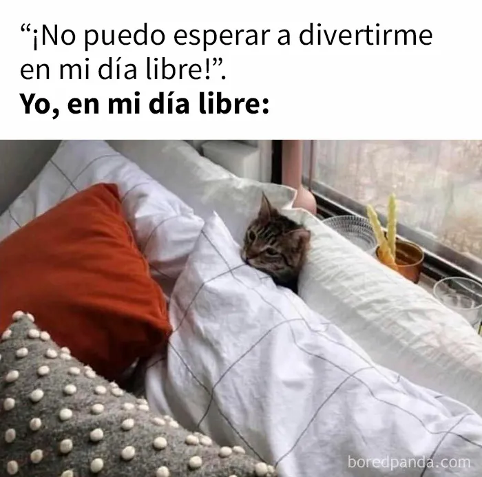 20 Graciosos memes que resultarán tan familiares como para discutirlos en terapia