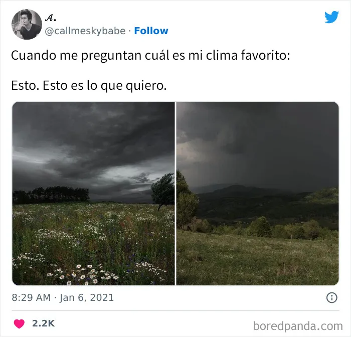 20 Graciosos memes que resultarán tan familiares como para discutirlos en terapia