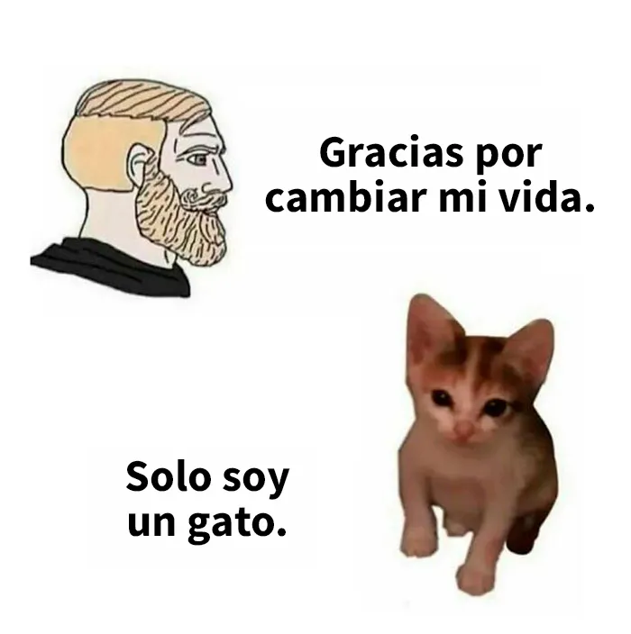 20 Graciosos memes que resultarán tan familiares como para discutirlos en terapia