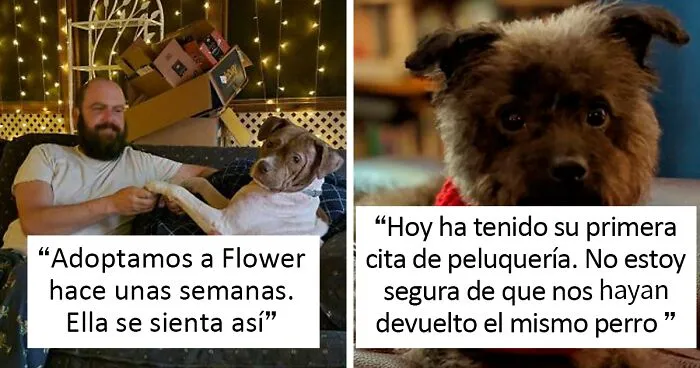 40 Reconfortantes fotos de mascotas rescatadas durante Octubre para alegrarte el alma
