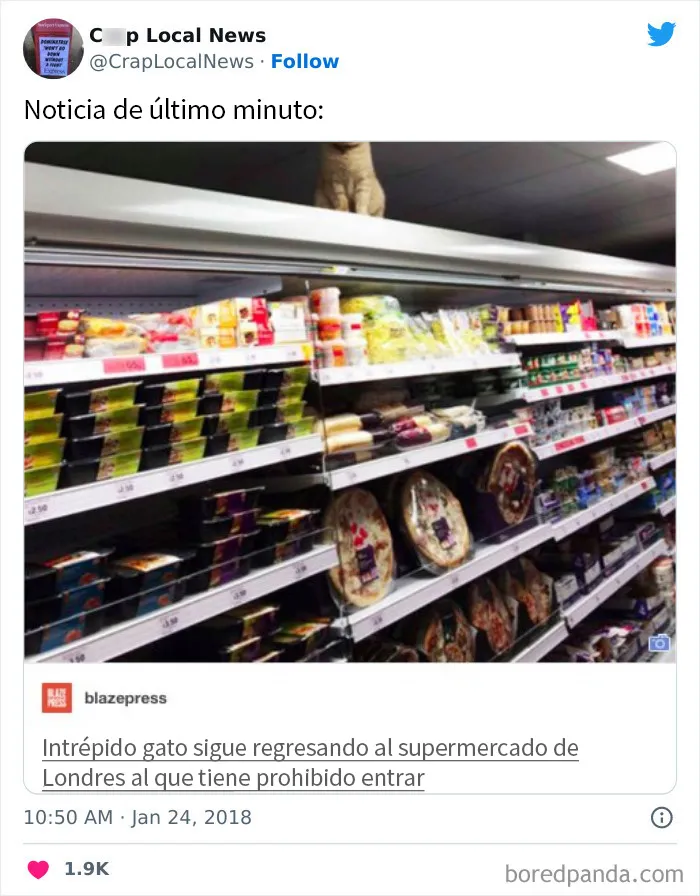 20 Titulares desquiciados encontrados en las noticias locales y compartidos en Twitter