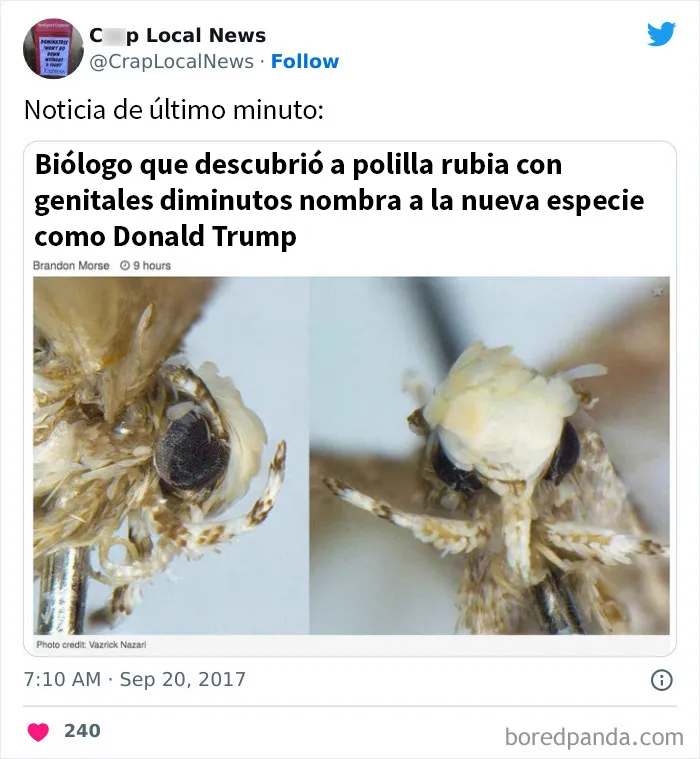 20 Titulares desquiciados encontrados en las noticias locales y compartidos en Twitter