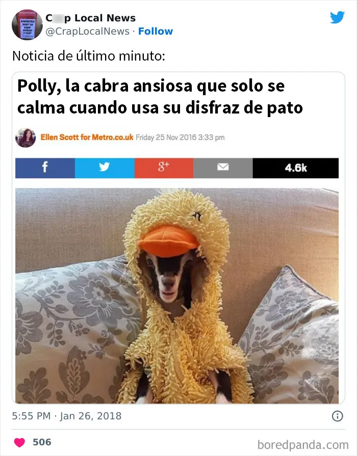 20 Titulares desquiciados encontrados en las noticias locales y compartidos en Twitter