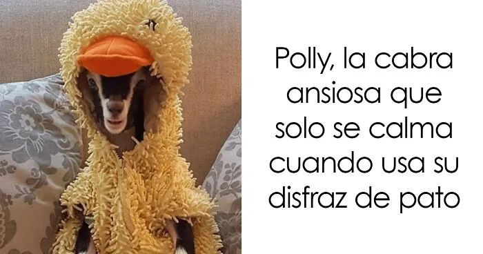 20 Titulares desquiciados encontrados en las noticias locales y compartidos en Twitter