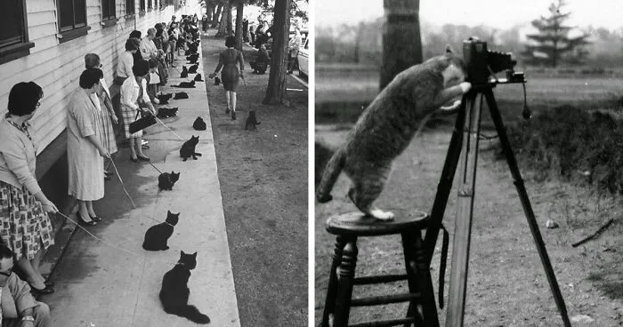 35 Sucesos de la historia que merecían ser fotografiados
