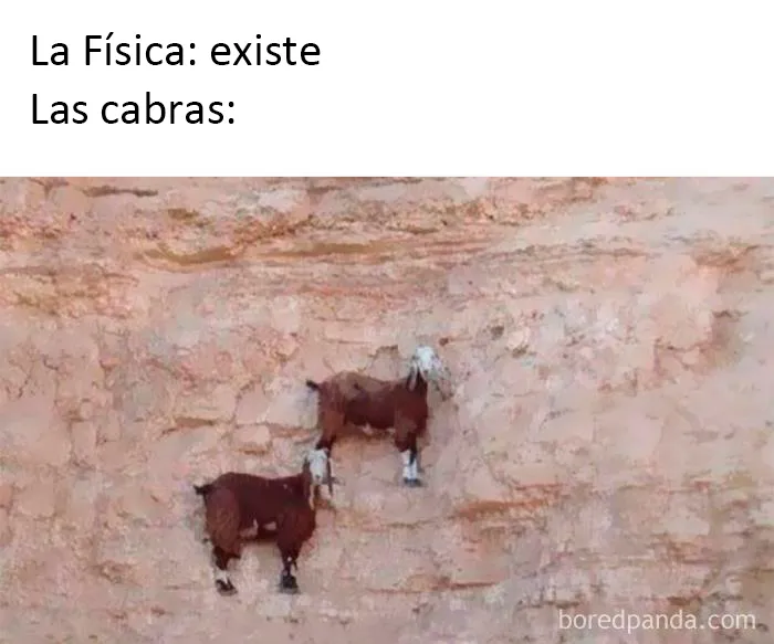 20 Divertidos memes sobre "humor científico (nuevas imágenes)