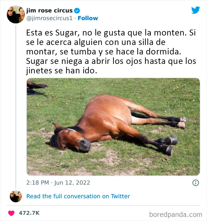 20 Memes que resultarán muy familiares para los treintañeros (nuevas imágenes)
