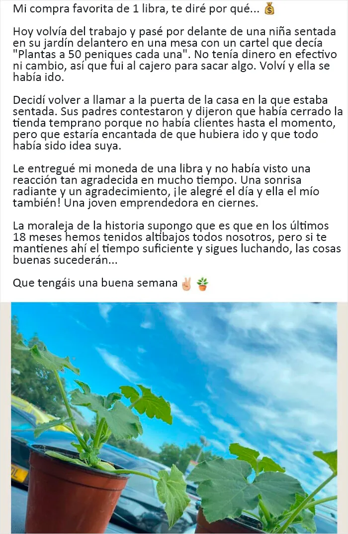 20 Publicaciones muy ridículas y fuera de lugar encontradas en LinkedIn