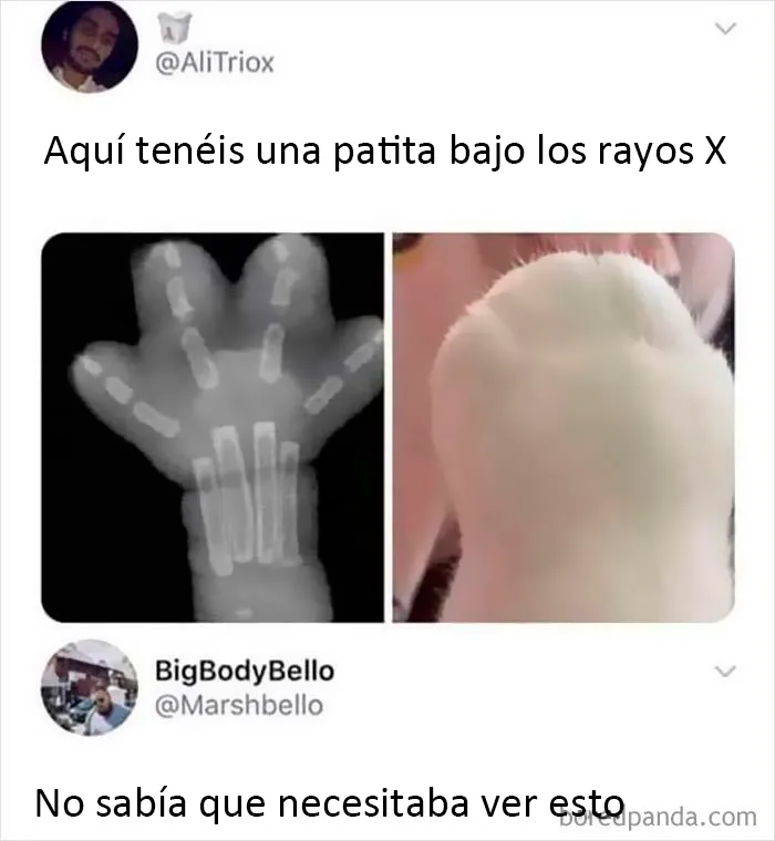 20 Divertidos memes sobre "humor científico (nuevas imágenes)